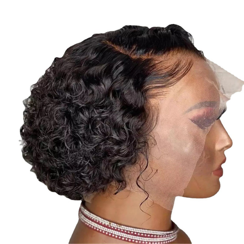 Chic Mixed Color Short Curly Wig for Women & Men - High-Temp Synthetic
