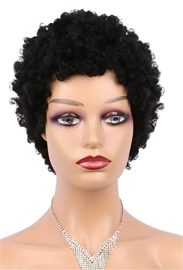 Curly Hair Wig 100% Human Hair Wig Afro