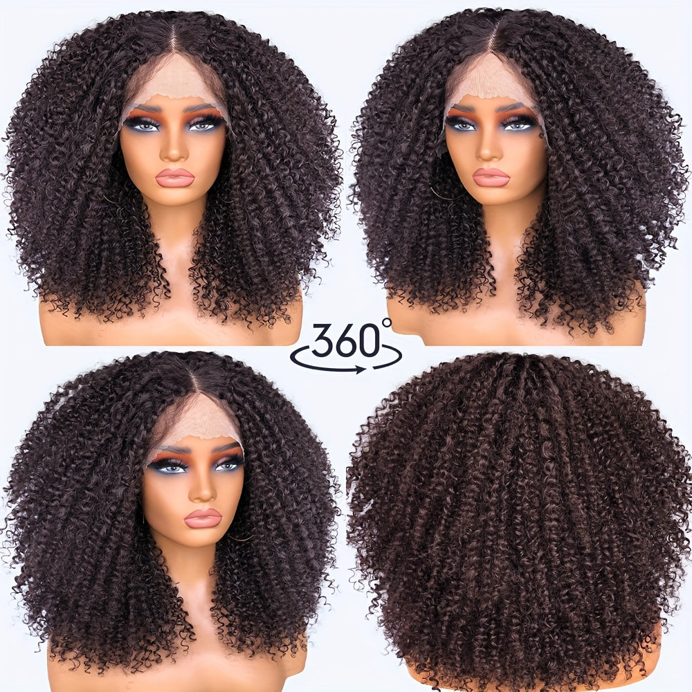 Chic Afro Kinky Curly Lace Front Wig for Women