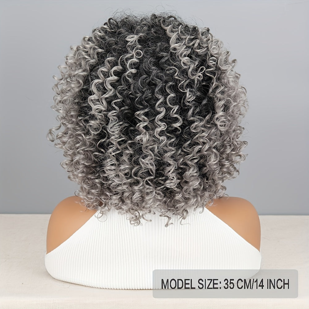 Elegant Black Grey Gradient Water Wave Wig for Women, 14 Inch, High Temperature Fiber, Basic Style, 130% Density, Comfortable Rose Net Cap, Synthetic Curly Short Wig with for Christmas Halloween Parties