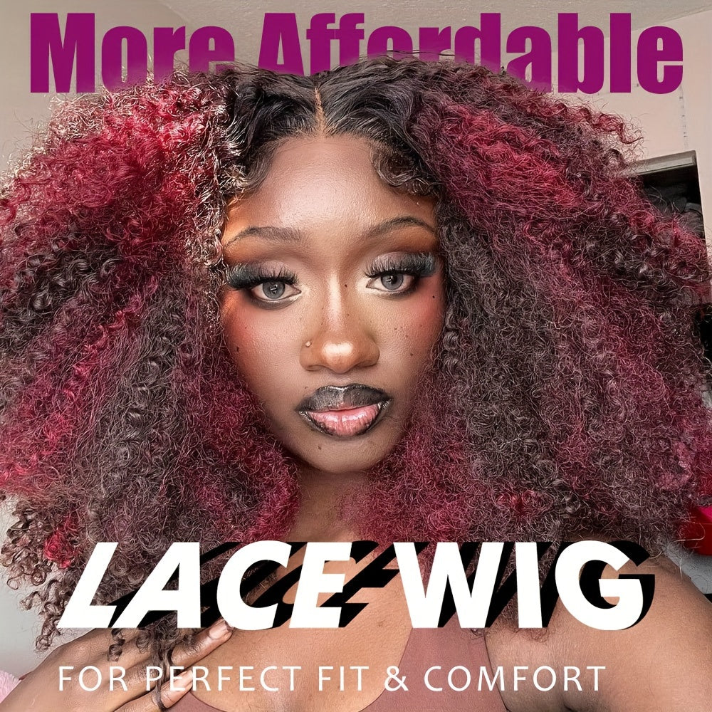 Chic Afro Kinky Curly Lace Front Wig for Women