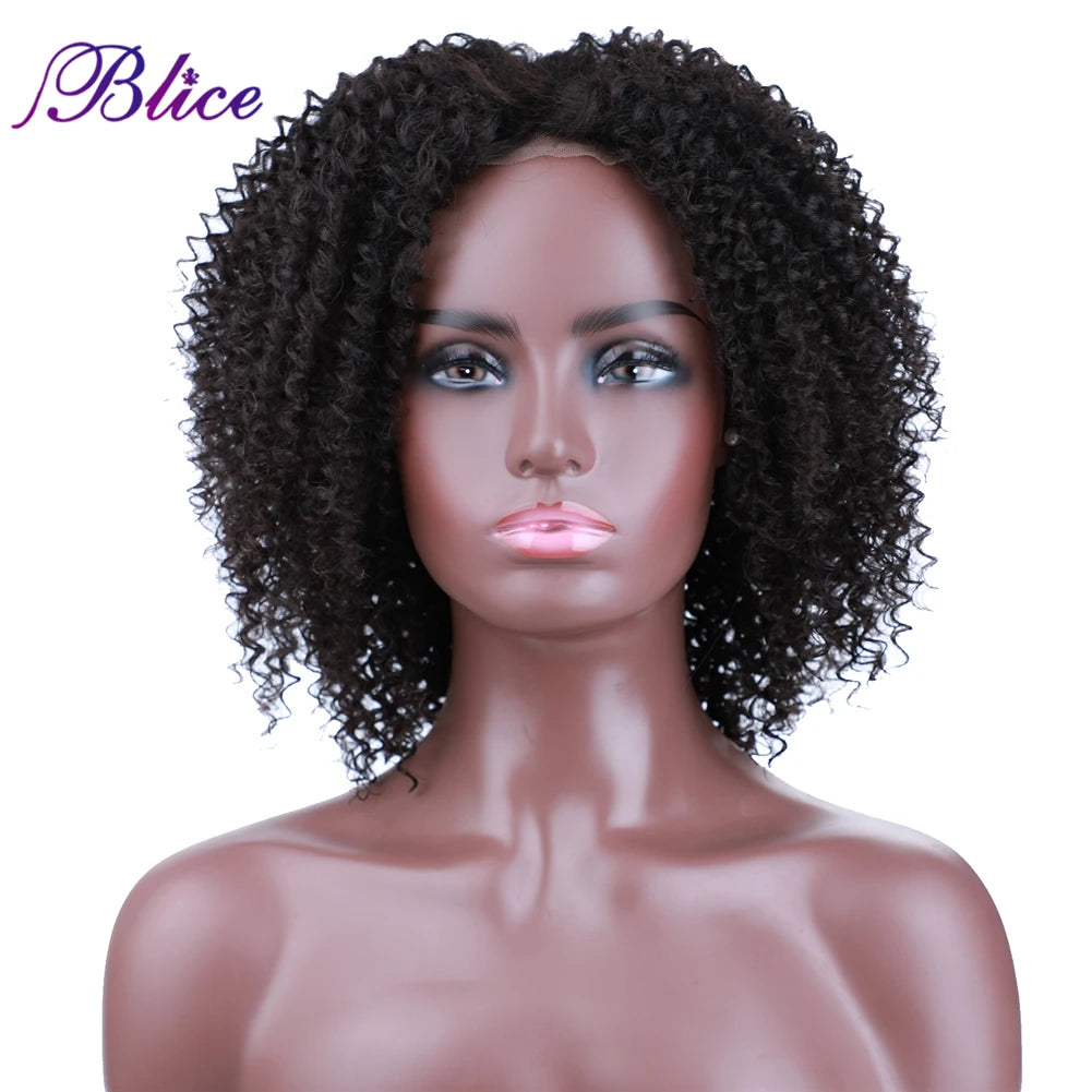 Afro Kinky Curly Middle Part Closure Wig