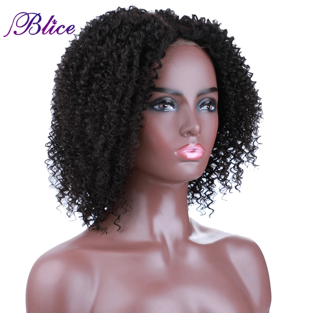 Afro Kinky Curly Middle Part Closure Wig