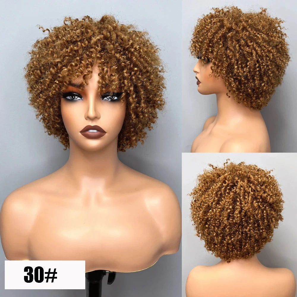 Short Afro Kinky Curly Human Hair Wigs Brazilian Remy 99J Brown