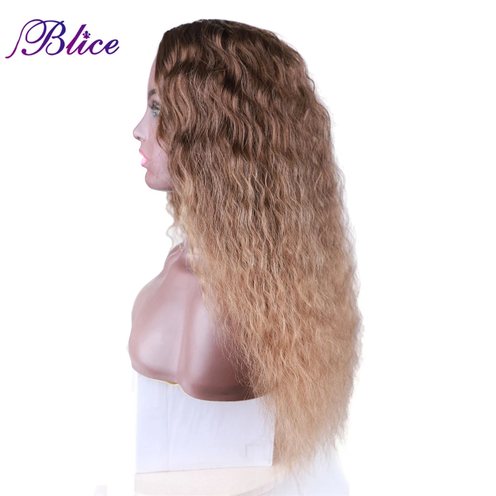 Ombre Brown Wig