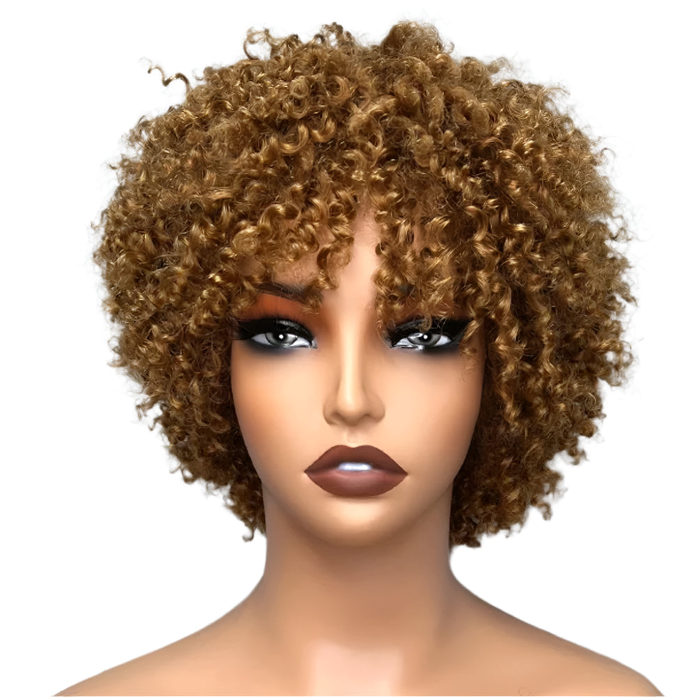 Short Afro Kinky Curly Human Hair Wigs Brazilian Remy 99J Brown