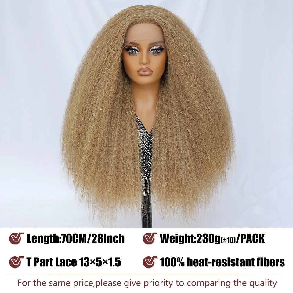 Kinky Straight Lace Front Wig