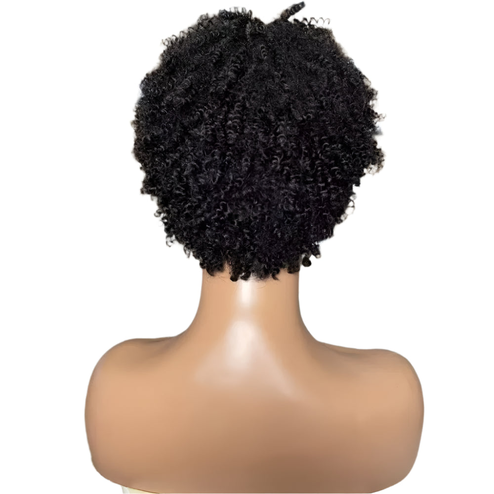 100% Human Hair Afro Kinky Curly Full Machine Short Wigs High Quality Brazilian Virgin Hair