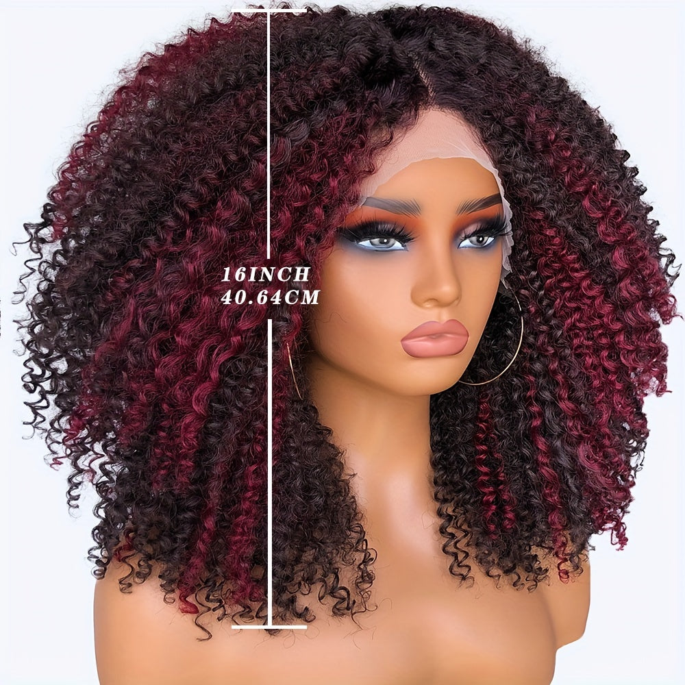 Chic Afro Kinky Curly Lace Front Wig for Women