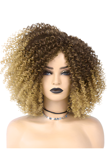 Afro Kinky Curly Wigs